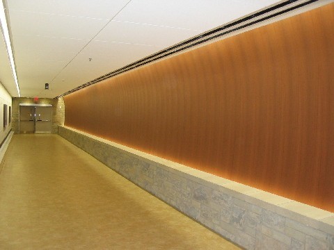 Spectrum Health Tunnel