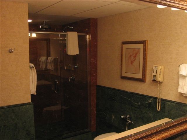 Amway Grand Plaza - Bathroom Renovation