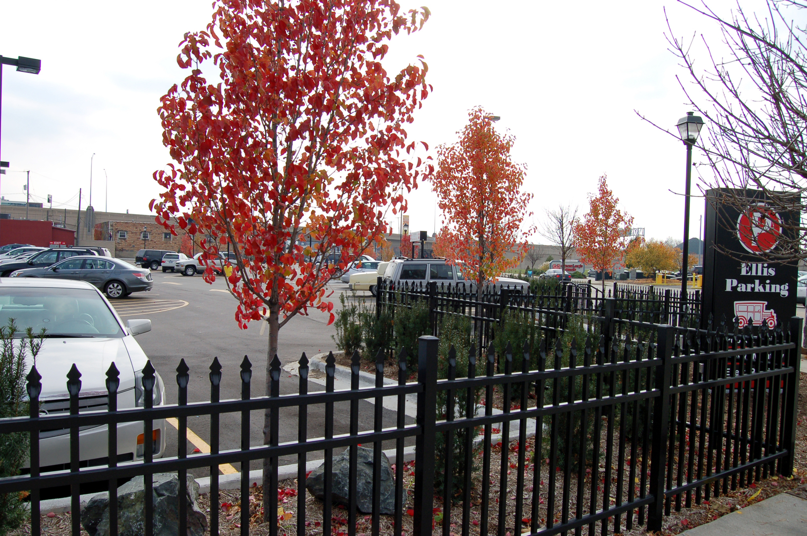 Ellis Parking Surface Lot