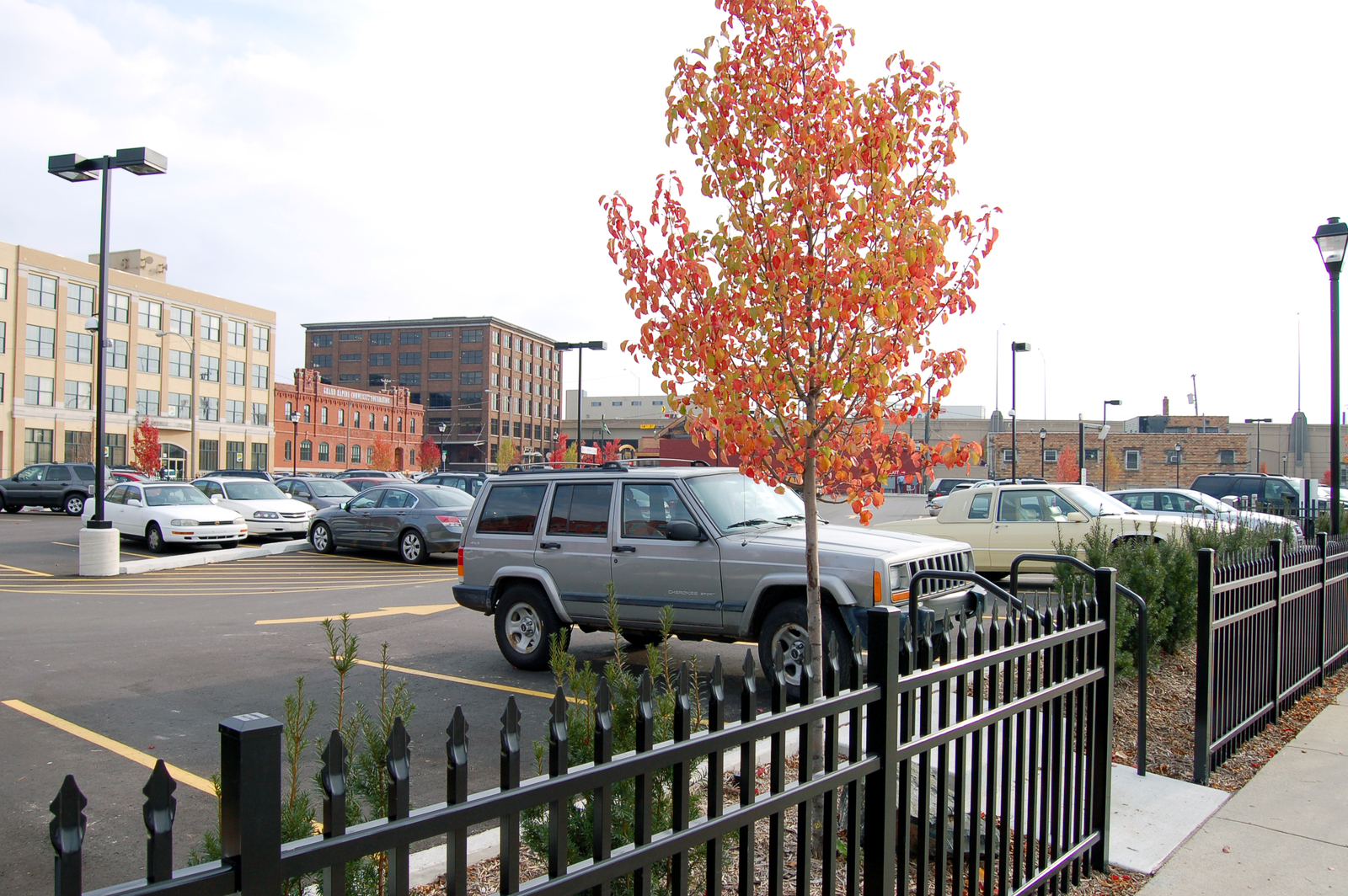 Ellis Parking Surface Lot