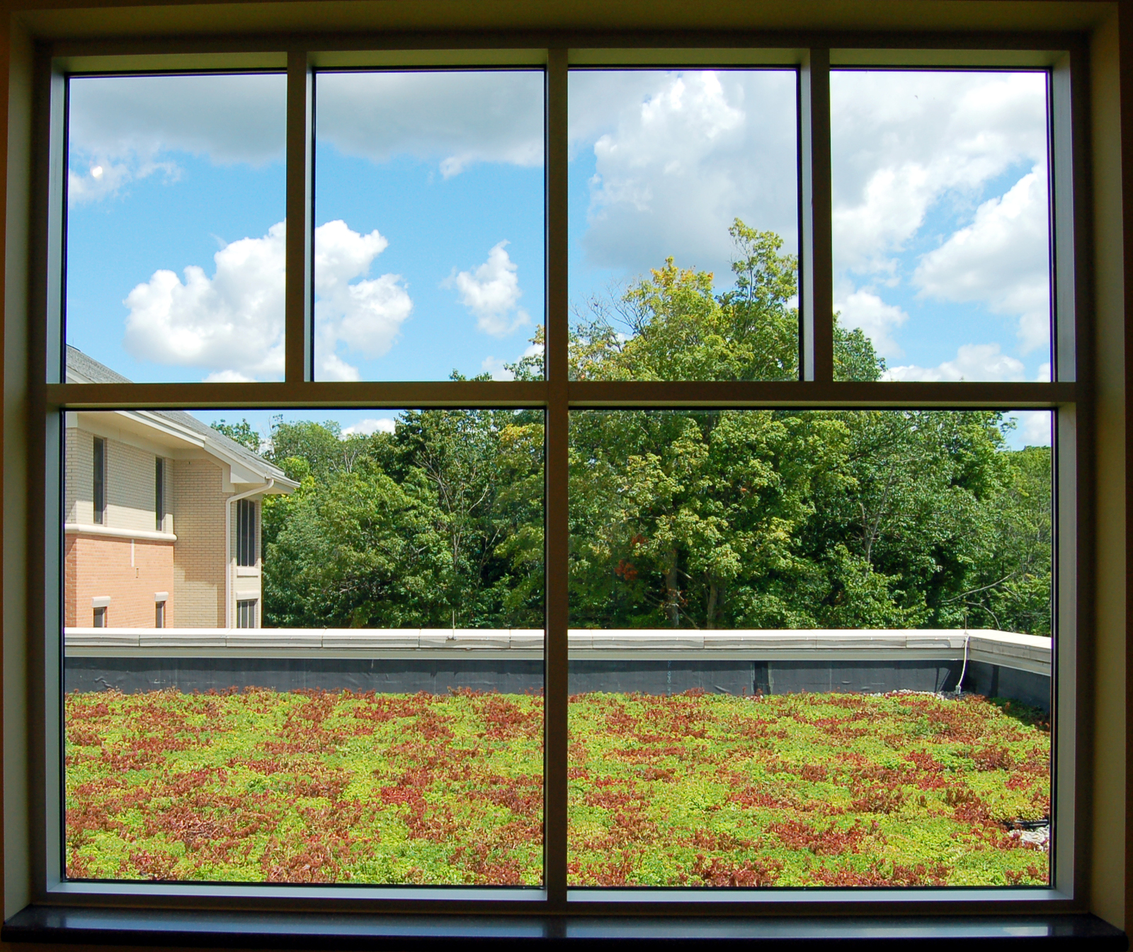 GVSU Niemeyer Living Center & Honors College