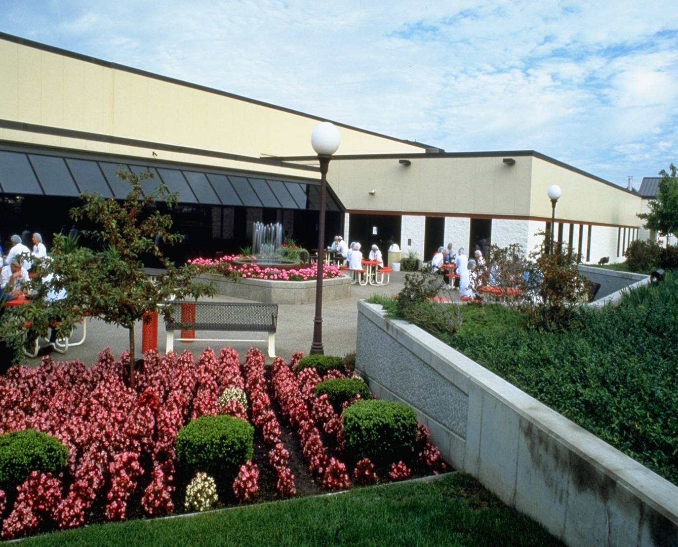 Photo for Perrigo Corporation