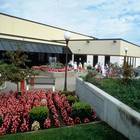 Photo for Perrigo Corporation